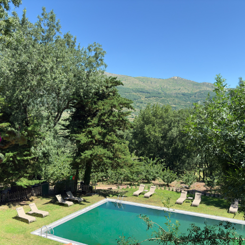 Vista de la piscina y jardines desde una de las habitaciones.