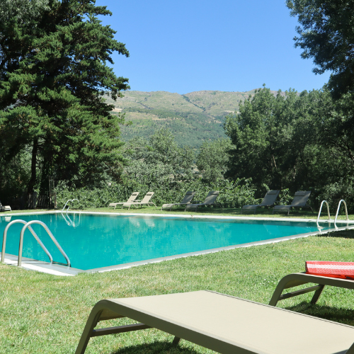 Piscina y tumbonas